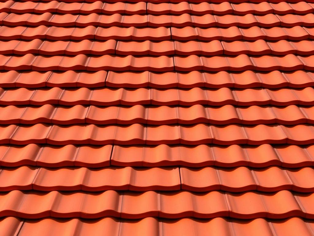 Pannendak renovatie